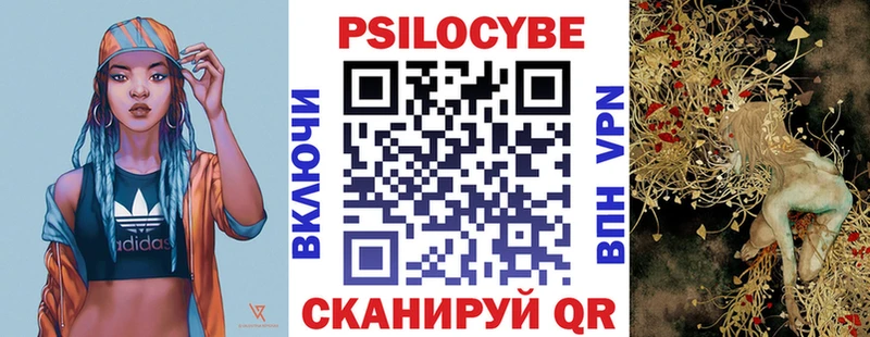 купить   Венёв  Псилоцибиновые грибы GOLDEN TEACHER 